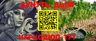 винт Новозыбков