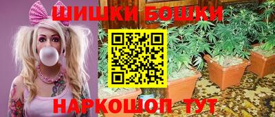 винт Новозыбков